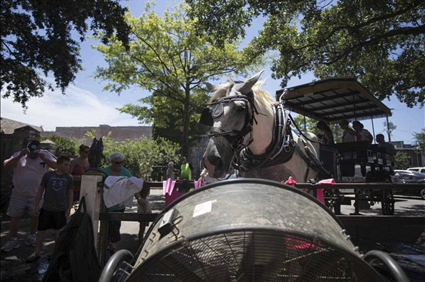 Charleston too hot for horses amid heat wave, earliest 100-degree days on record